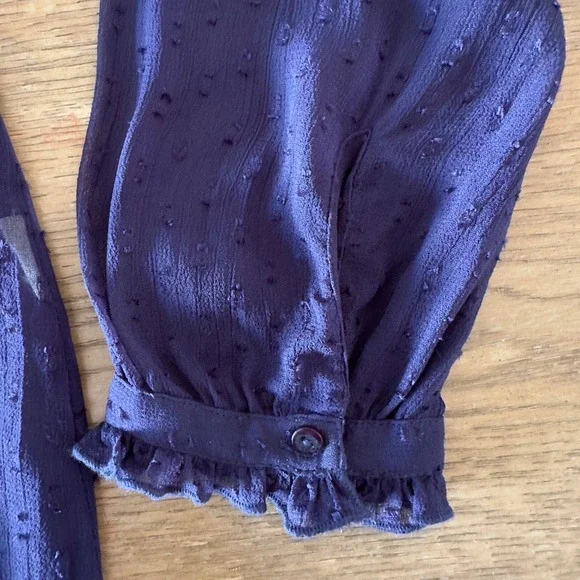 Sundance Silk Chiffon‎ Swiss Dot Pintuck Lace Top-Long Sleeve-Navy-Size Small - Picture 11 of 12